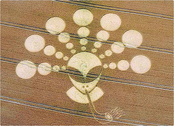 crop circle at Cherhill | July 27 2011