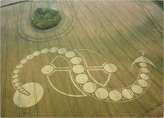 crop circle at West Woodhay Down | July 29 2011