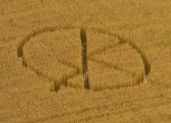 crop circle at Lieto | July 31 2011