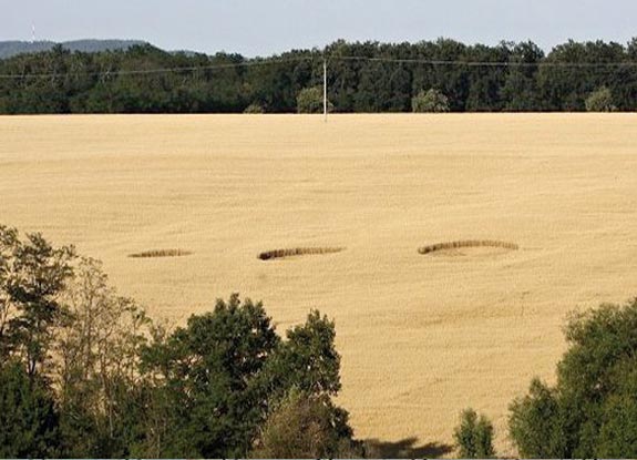 crop circle at Krasna | July 31 2011