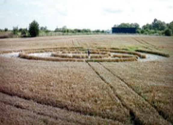crop circle at Ashley | August 14 2011