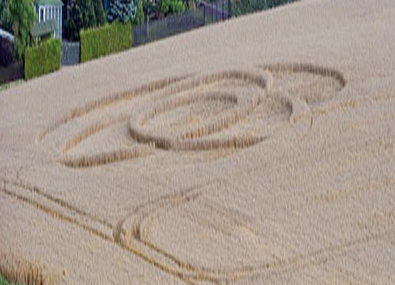 crop circle at Mittweida | August 18 2011