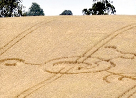 crop circle at Alnwick | August 28 2011