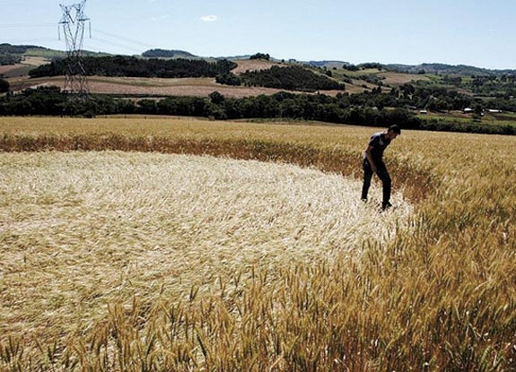 crop circle at Bom Jesus | October 31 2011