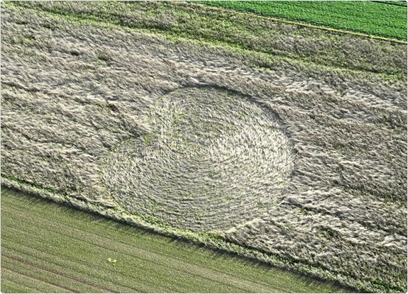 crop circle at Roundway Devizes | December 07 2011