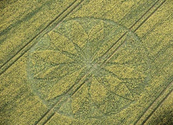 crop circle at East Kennett | April 15 2012