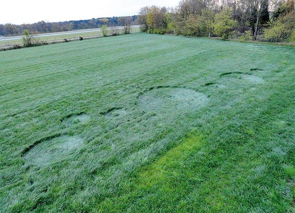 crop circle at Booschenhoofd | April 24 2012