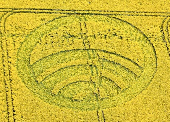 crop circle at Yarnbury Castle | April 28 2012