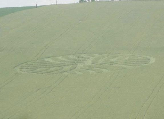 crop circle at Czech Republic | May 16 2012