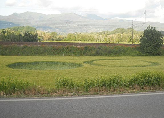crop circle at Figline Valdarno | May 16 2012