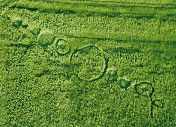 crop circle at Hoeven | May 16 2012