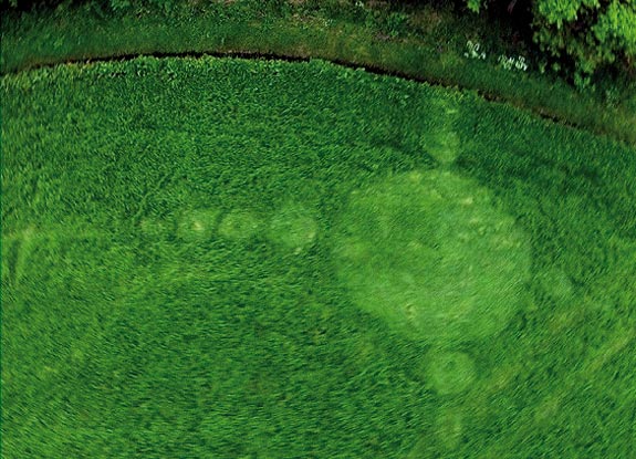 crop circle at Hoeven | May 18 2012