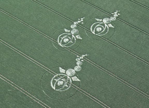 crop circle at Woodborough Hill | June 09 2012