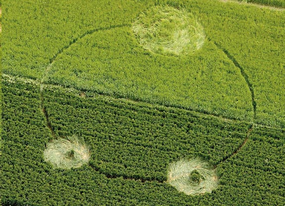 crop circle at Silbury Hill | June 13 2012