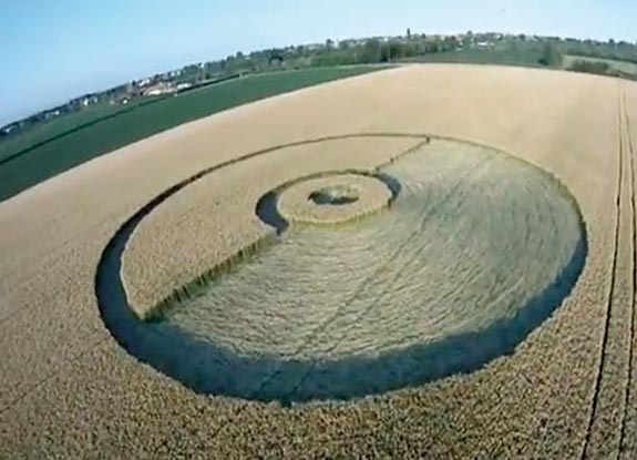 crop circle at Camponogara | June 14 2012
