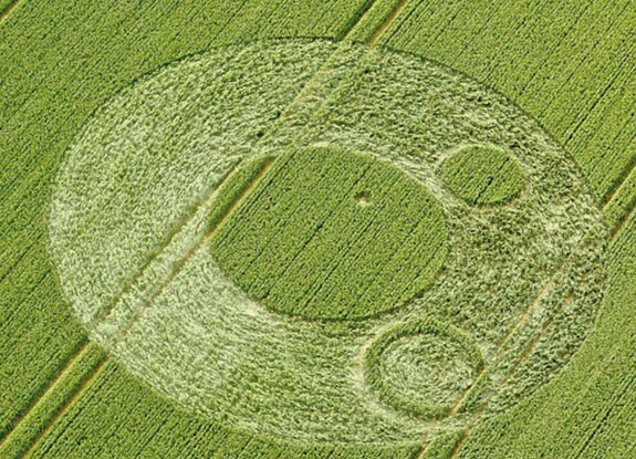 crop circle at Berkley Lane | June 17 2012