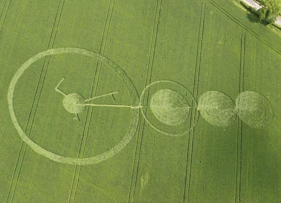 crop circle at Wenlock Wood | June 17 2012