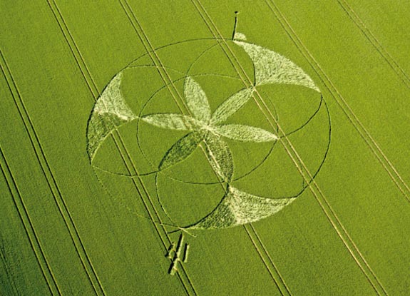 crop circle at Golden Ball Hill | June 20 2012