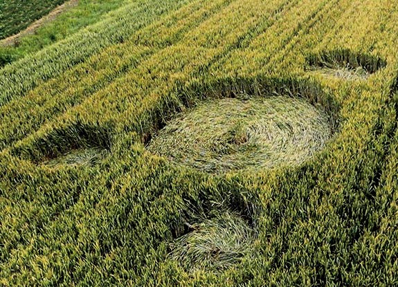 crop circle at Hoeven l | June 21 2012
