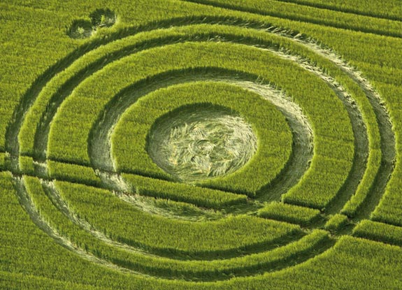 crop circle at Cherhill | June 25 2012