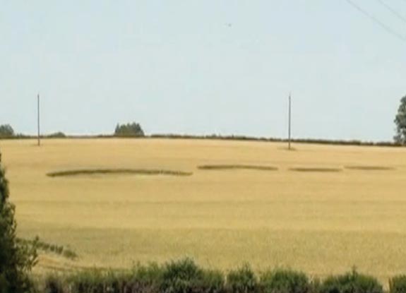 crop circle at Biches | June 29 2012