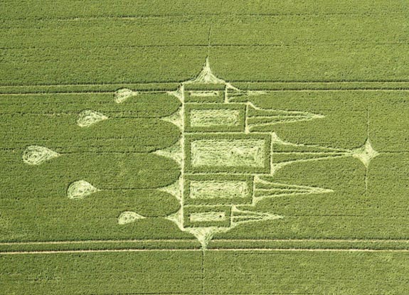 crop circle at Stanton St Bernard | June 29 2012