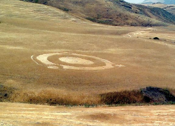 crop circle at Villarosa | July 01 2012