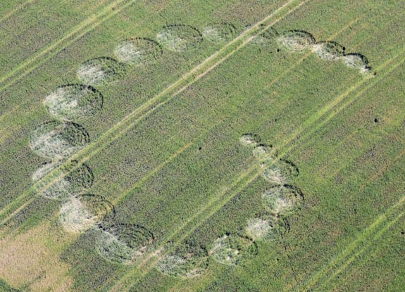 crop circle at Lawley | July 01 2012