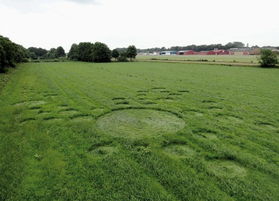 crop circle at Bosschenhoofd | July 04 2012