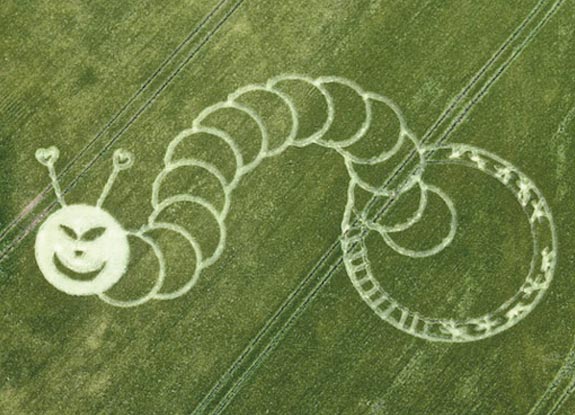 crop circle at Boreham Woods | July 05 2012