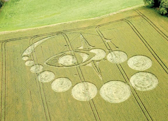 crop circle at Picked Hill | July 09 2012