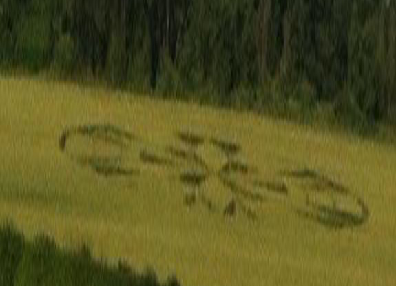 crop circle at Burrow Hill Fort | July 10 2012