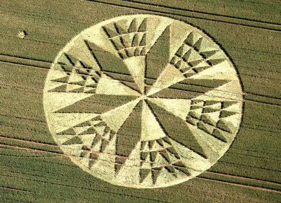 crop circle at Burrow Hill Fort | July 11 2012