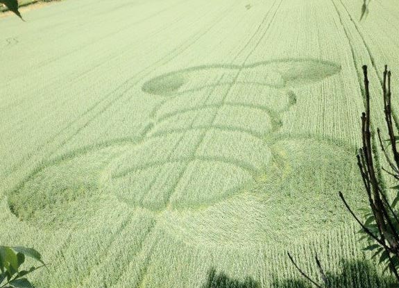 crop circle at Tuftevegen | July 13 2012