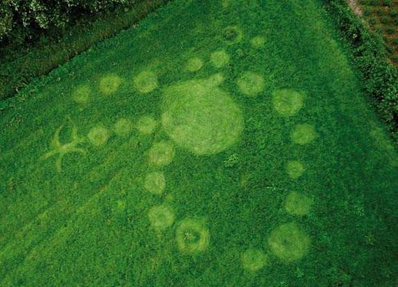 crop circle at Bosschenhoofd | July 16 2012