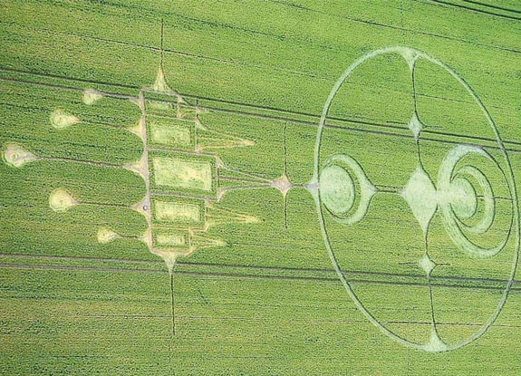 crop circle at Stanton St Bernard | July 16 2012