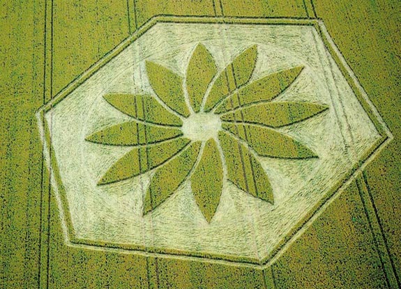 crop circle at Yatesbury | July 17 2012