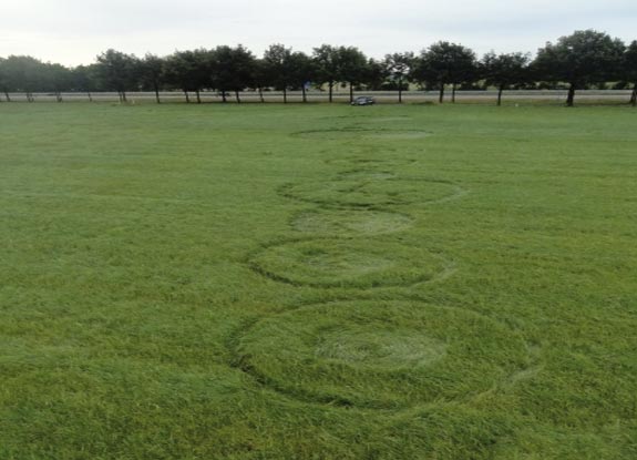 crop circle at Bosschenhoofd | July 21 2012