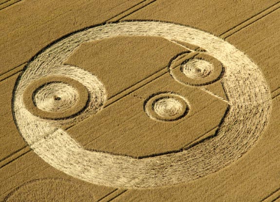 crop circle at Telford | July 21 2012