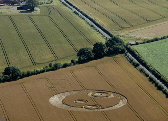 crop circle at Telford | July 21 2012