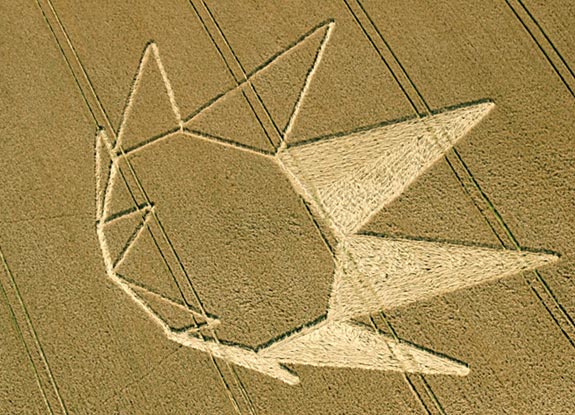 crop circle at Longwood Warren | July 23 2012