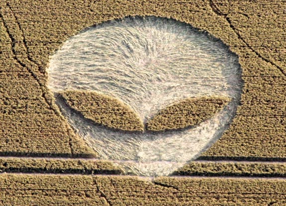 crop circle at Hinton Parva | July 25 2012