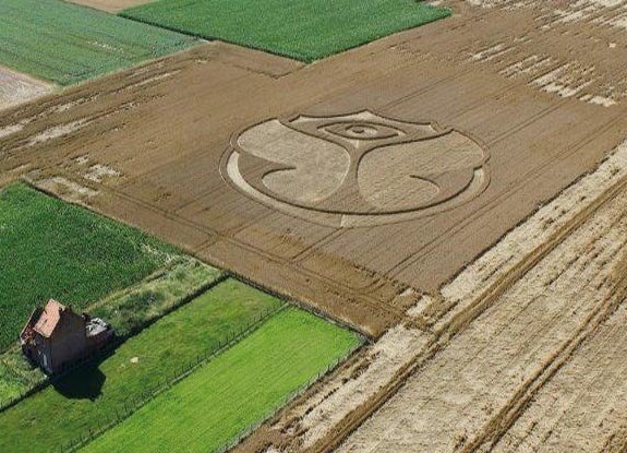 crop circle at Bruxelles | late July 2012