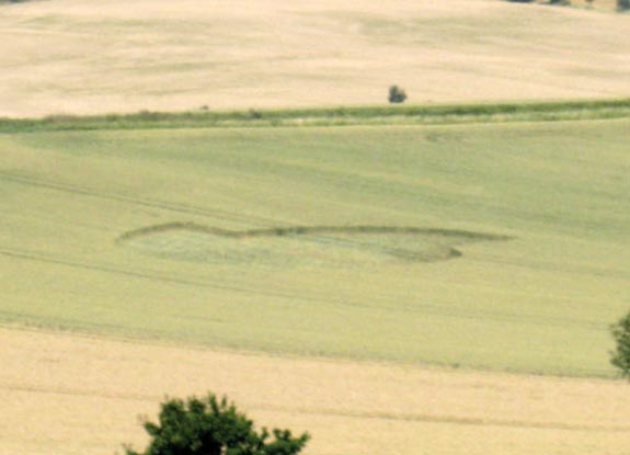 crop circle at Kneitlingen | 2012 July 26