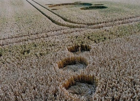 crop circle at Standdaarbuiten | 2012 July 26