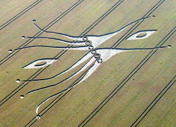 crop circle at East Kennett | July 26 2012