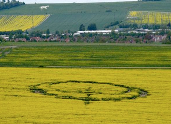 crop circle at Etchilhampton | July 28 2012