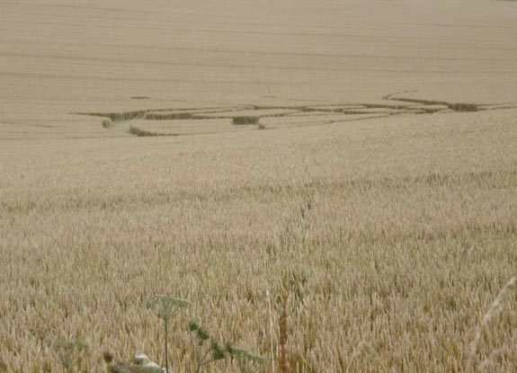 crop circle at Westwoods | July 31 2012