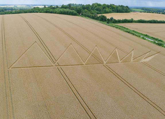 crop circle at Owlesbury | August 05 2012