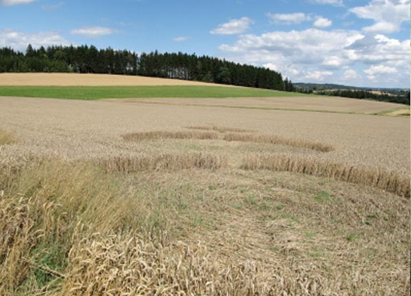 crop circle at Vyskytná | August 07 2012